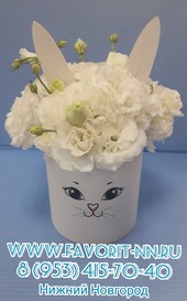 Милая композиция из живых цветов (белые и пушистые лизиантусы) в коробочке с ушками "Зайка"
