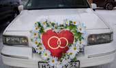 Украшение свадебного авто «Ромашковое сердце»